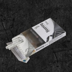 Сигареты Блюминг Сильвер (Blooming Silver)